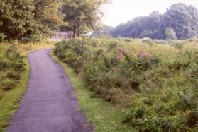 The trail crosses a pipeline as it goes up the hill.