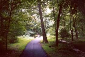 The trail ends at the next trail intersection.  Turn right and go down the hill.