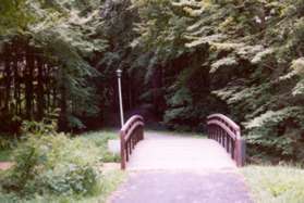 The trail crosses a creek and goes up the hill.