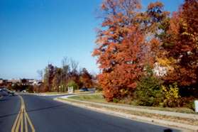 After crossing Bowman Towne Dr turn left and follow the sidewalk along that street.