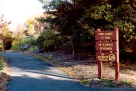 The trail passes along the edge of Reston Town Green Park.