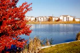 The trail follows the edge of Edgewater Pond.  The view is shown looking back.