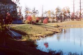 The trail loops around the pond.