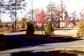 Turn left at the next wide asphalt trail intersection after passing the homes on the left.