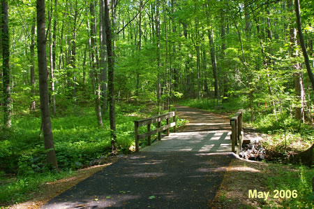 The trail crosses back over the Glade Stream.  This bridge was badly damaged by flooding one month after the picture was taken but was quickly repaired.