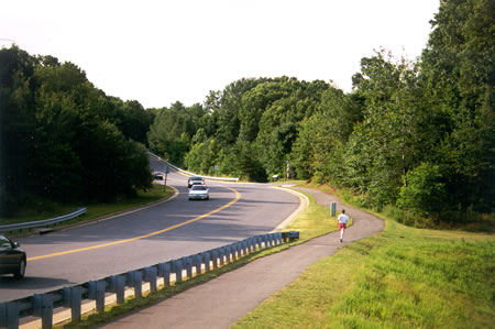 Follow the asphalt trail along Twin Branches Rd across the Lake Audubon dam.