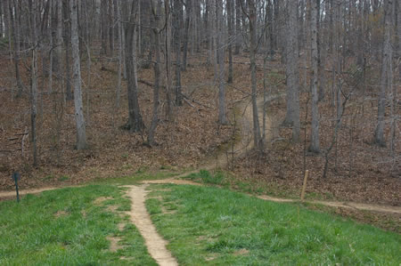 On the other side of the dam there are trails to the left and right.  Take the trail up the hill. The Cross County Trail goes to the right here and passes through a wet area.