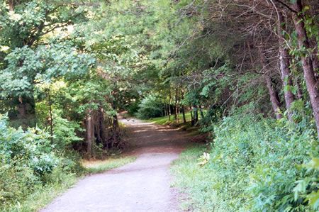 The horse trail becomes shaded and homes can be seen on the right.