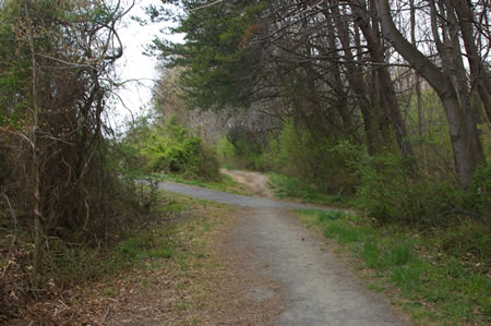 An asphalt trail crosses the horse trail. Turn left onto this trail and then left on the bike trail.