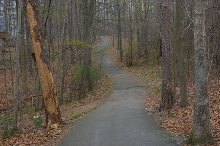 The short loop trail joins the long loop from the left. Continue on the asphalt trail.