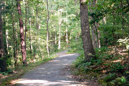 The trail goes down a hill into a valley.