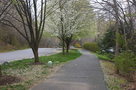 The trail turns right and follows Barton Hill Rd.