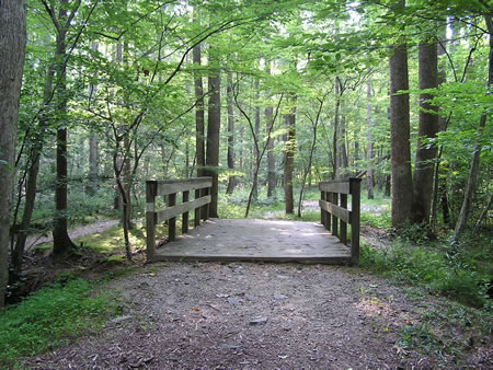 The trail turns left to cross this bridge.