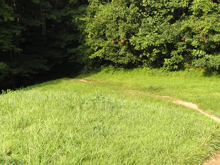 After crossing the dam the trail turns to the left and goes back into the woods.