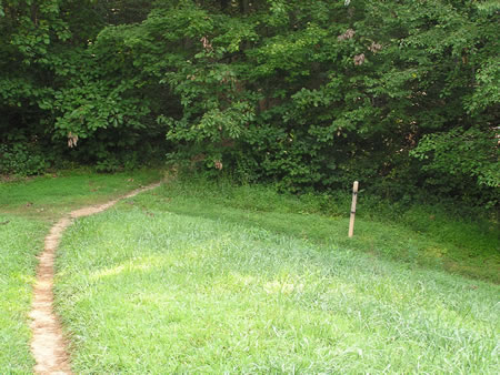 After crossing the dam turn right to walk down the hill.