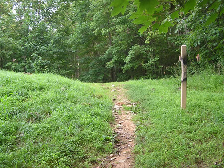 The trail climbs a hill to the top of a dam forming a water retention basin.