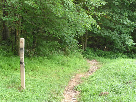 Turn right after crossing the dam and walk down the hill into the woods.