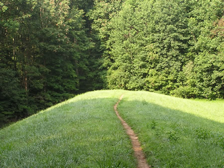 Turn left to cross the dam.