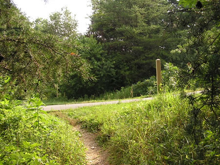 The trail intersects with the W&OD bicycle trail.  Continue straight to the horse trail.