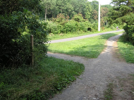 The walk starts at the W&OD horse trail.