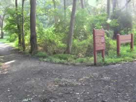 The trail ends where the W&OD Trail accesses Tamarack Park.