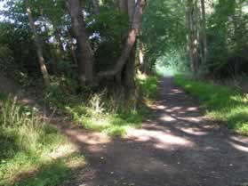 The trail starts on the W&OD Trail at Tamarack Park