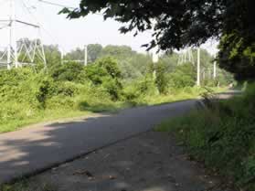 The horse trail crosses the bicycle trail.  Stay on the horse trail.