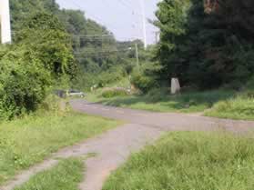 The horse trail crosses the bicycle trail just prior to Hunter Mill Rd.  Stay on the horse trail.