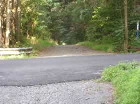 The trail climbs a hill to cross Buckthorn Lane.  Stay on the horse trail.