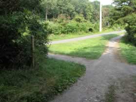 The horse trail is intersected by an asphalt trail with a CCT trail marker on the left.  Turn left here.