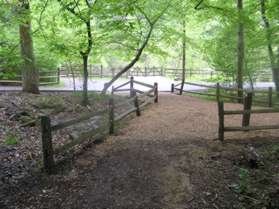 The trail comes to a service road at the Nature Center.  Cross the service road.