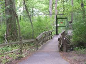 Turn right at the end of the parking lot to walk on the boardwalk through the gate in the fence.