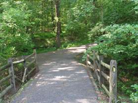 The trail crosses a bridge and ends at an intersecting trail.  Turn right onto the intersecting trail.