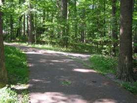 A gravel trail intersects from the right. Continue on the asphalt trail.