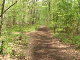 A natural surface trail intersects from the left.  Continue straight on the present trail.