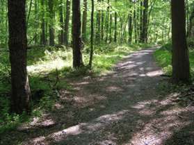 An informal natural surface trail intersects from the left.  Continue straight on the present trail.