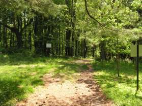 A cleared area appears.  This used to be the crossing of a road to a former campgrounds.   Continue straight on the present trail.