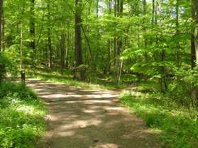 A narrower trail branches to the right.  Turn right to follow the narrow trail.  The trail marker should point toward the nature center.