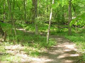 The trail should follow a stream on the right.