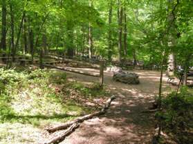 The trail passes through an amphitheater after which it intersects with the nature center service road.