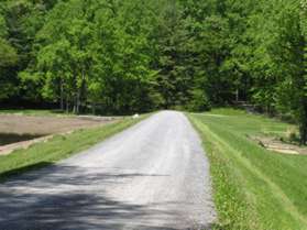 The trail reaches a service road.  Turn right to follow the road across the Pine Lake dam.
