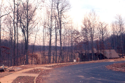 View of lake from Purple Beech Dr.